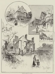 Streifzüge in Sussex